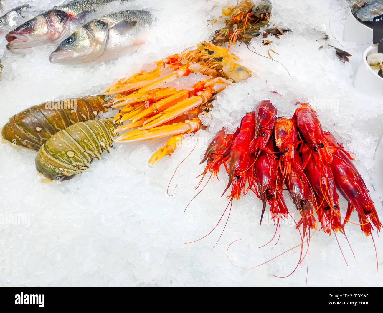 Meeresfrüchte, Fisch Stockfoto