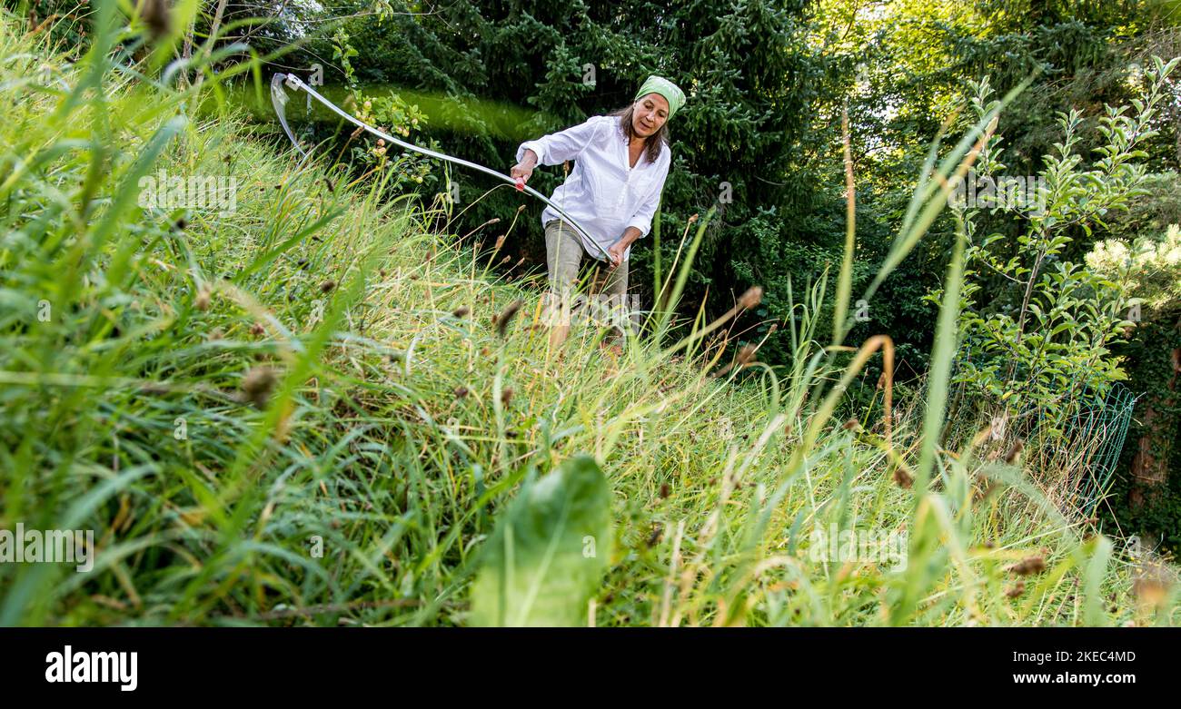 Frau schneidet Gras mit der Sense von Hand, im Garten. Stockfoto