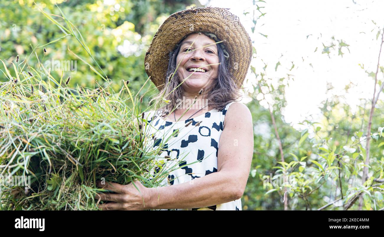 Frau schneidet Gras mit der Sense von Hand, im Garten. Stockfoto