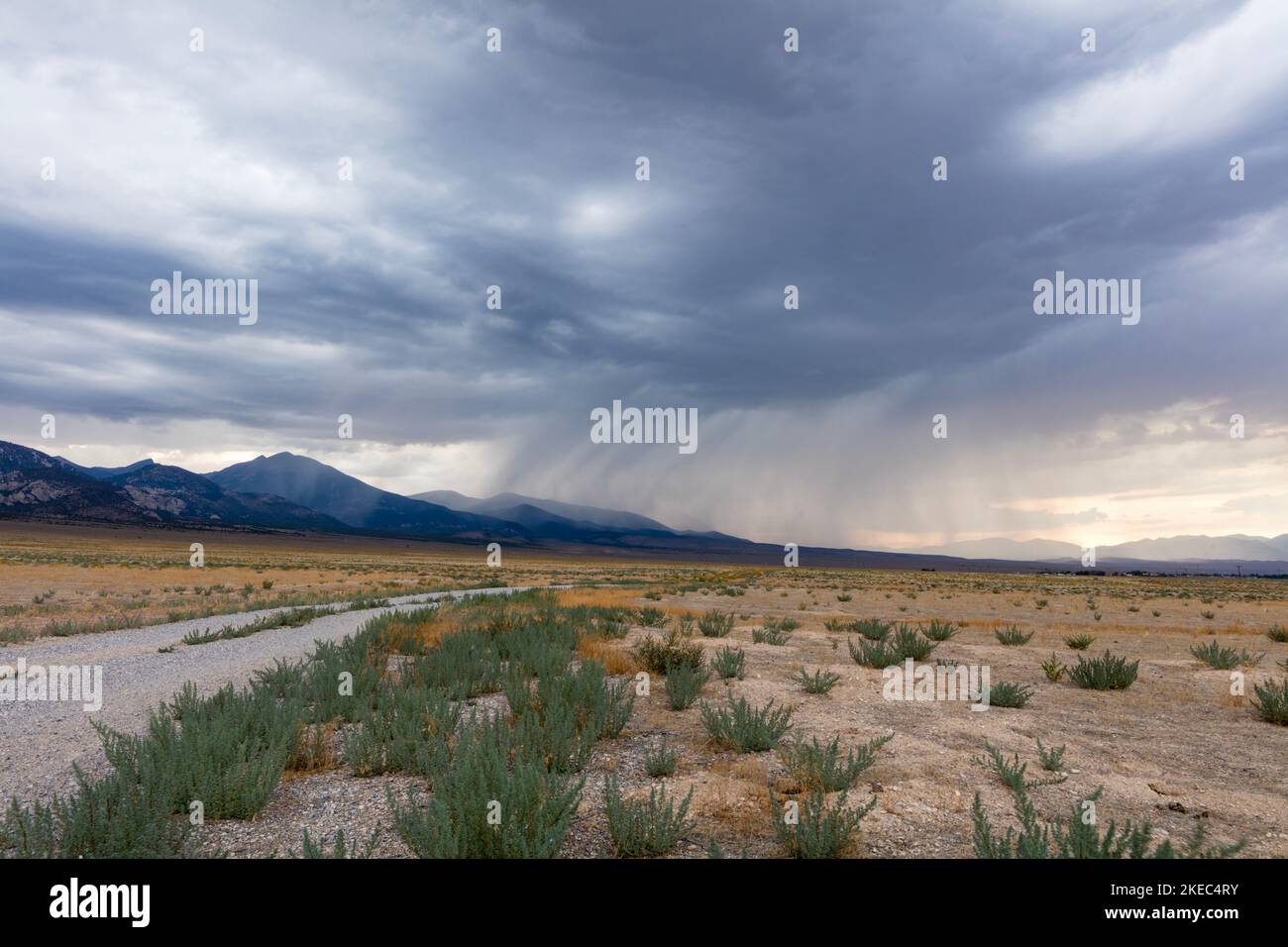 Regenwolken sammeln sich über dem Great Basin National Park und der Snake Mountain Range in der Nähe von Baker, Nevada. Der herannahende Sturm verdunkelt den Himmel. Stockfoto