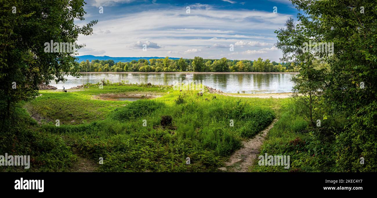 Rheinaue bei Ingelheim in Rhein-Hessen mit Sandstrand und malerischen Buchten, lädt zum Entspannen ein, Stockfoto