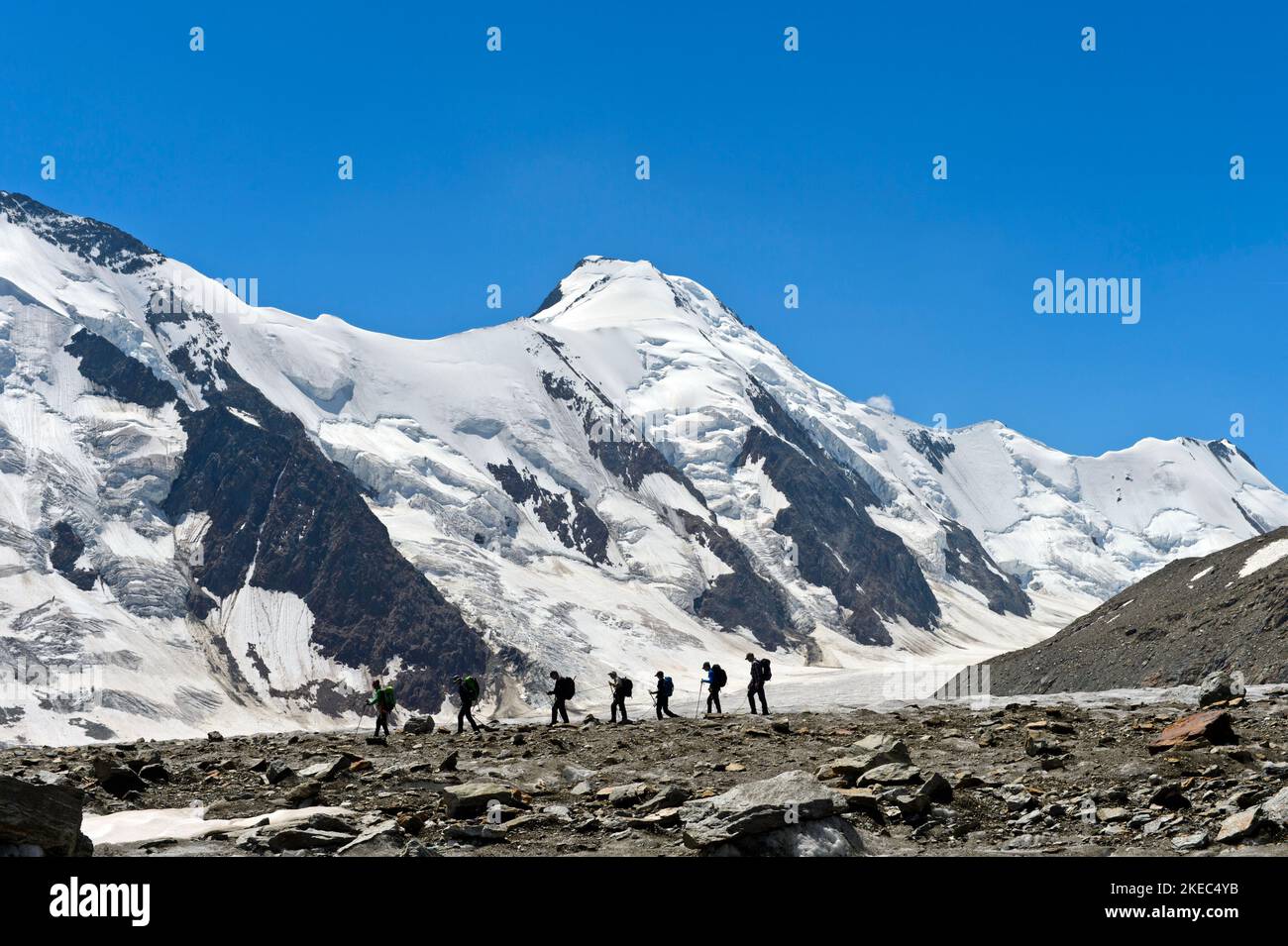 Eine Gruppe von Alpinisten vor dem Aletschhorn am Großen Aletschfirn, UNESCO Weltkulturerbe Schweizer Alpen Jungfrau-Aletsch, Grindelwald, Berner Oberland, Schweiz Stockfoto