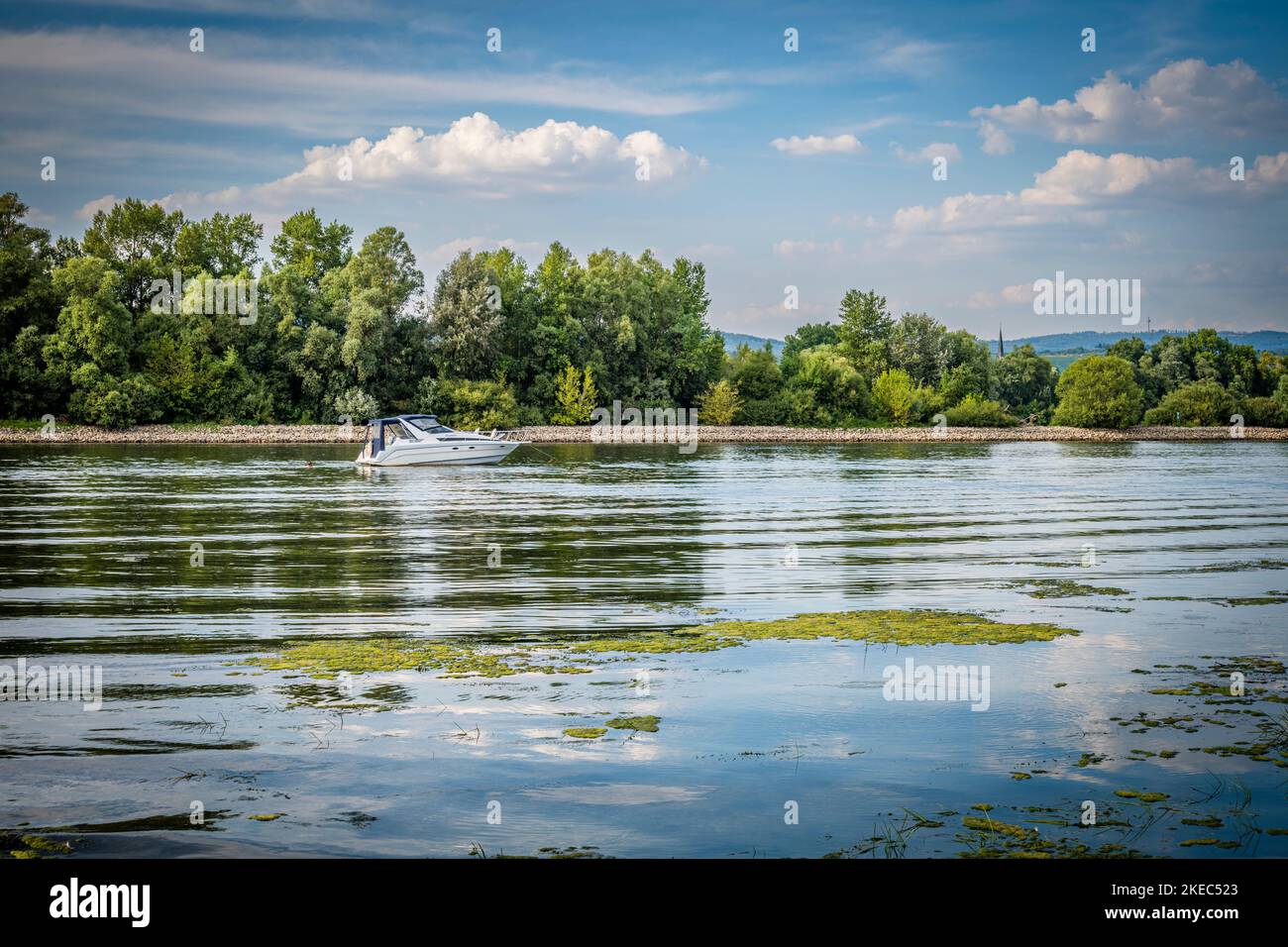 Rheinaue bei Ingelheim in Rhein-Hessen mit Sandstrand und malerischen Buchten, lädt zum Entspannen ein, Stockfoto