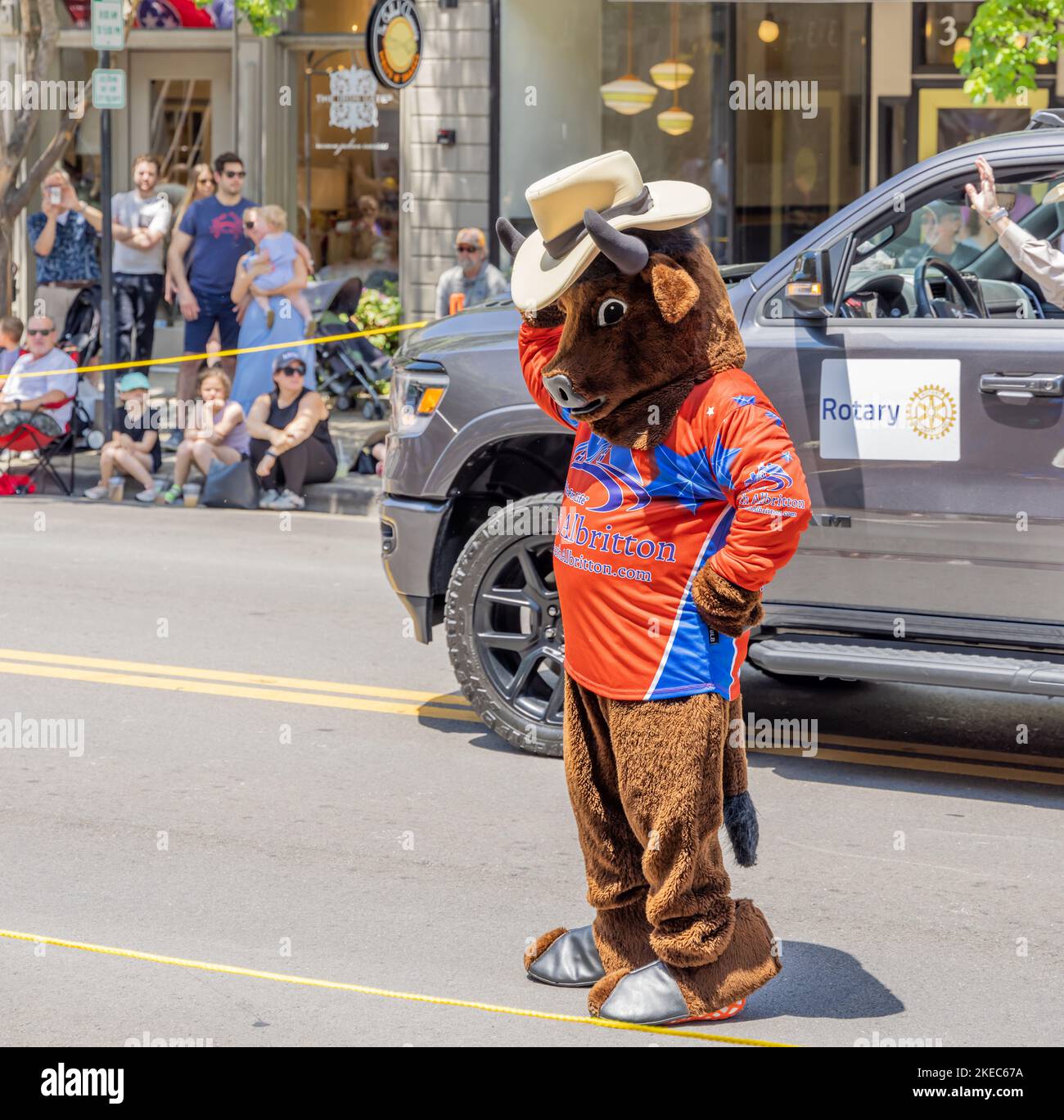 Person in einem Stierkostüm, die Albritton in der Franklin Rodeo Parade wirbt. Stockfoto