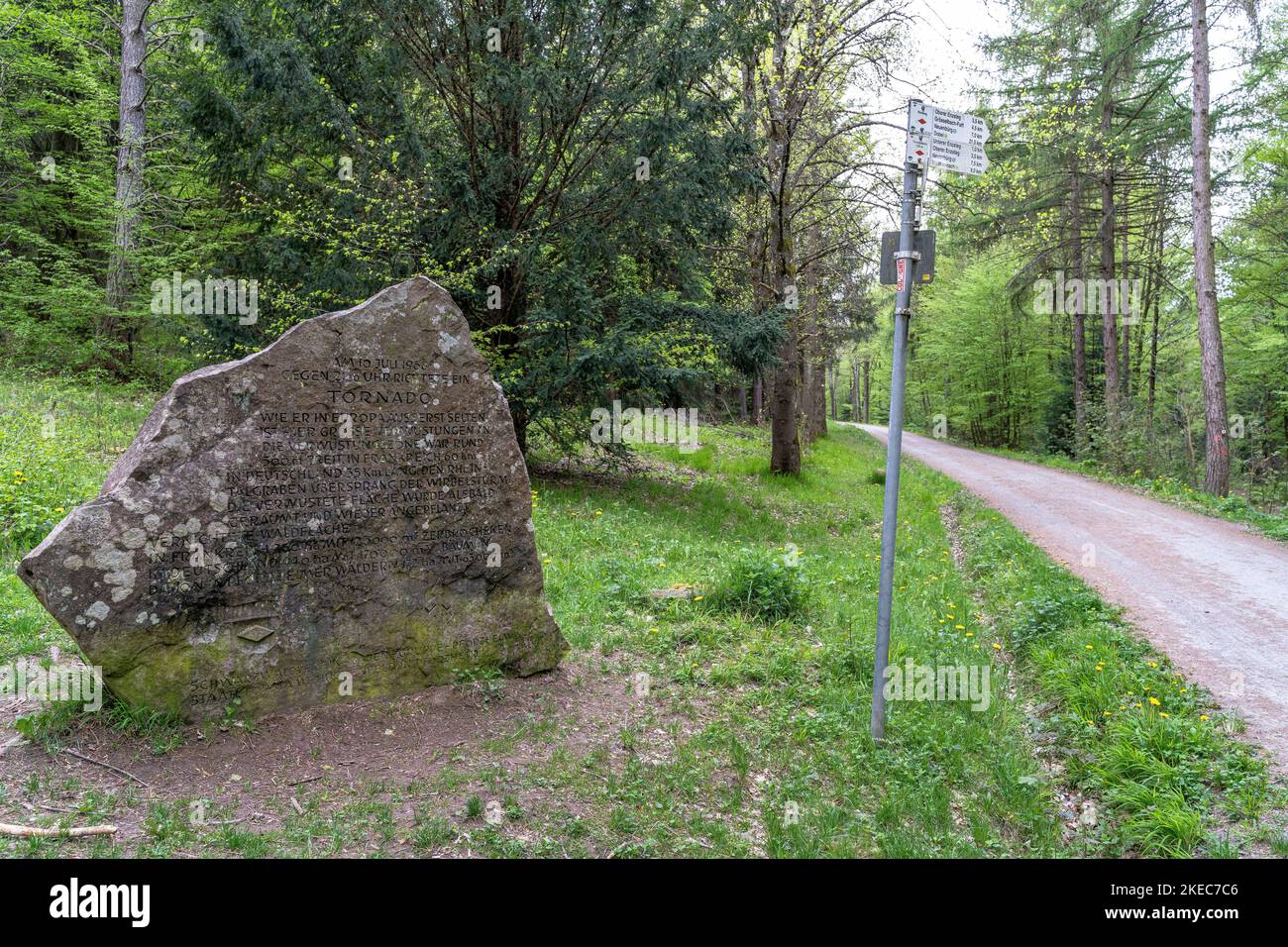 Europa, Deutschland, Süddeutschland, Baden-Württemberg, Schwarzwald, Tornadostein am Westweg bei Pforzheim Stockfoto