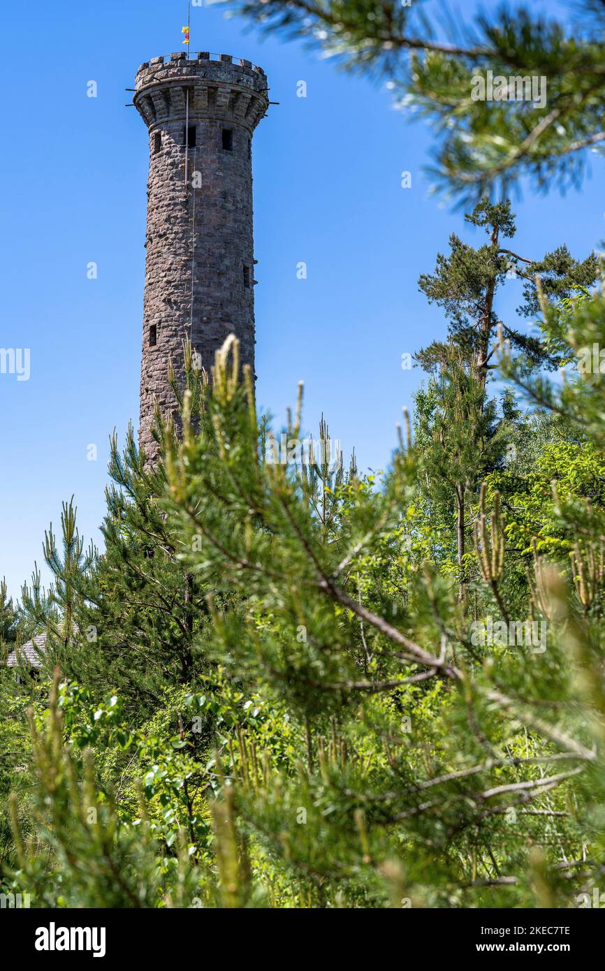 Europa, Deutschland, Süddeutschland, Baden-Württemberg, Schwarzwald, Friedrichsturm auf der Badener Höhe im Nordschwarzwald Stockfoto