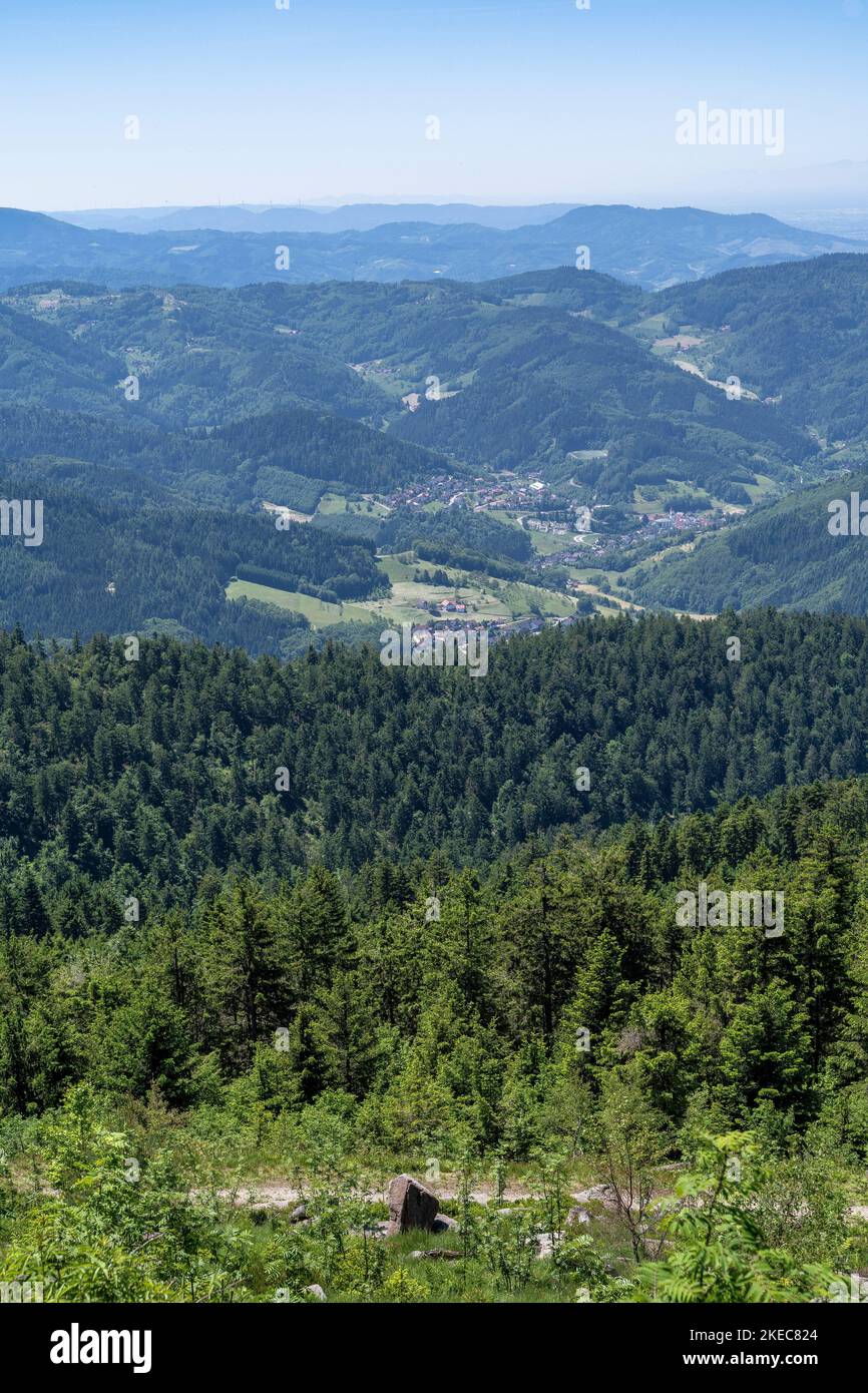 Europa, Deutschland, Süddeutschland, Baden-Württemberg, Schwarzwald, Weitblick über eine typische Schwarzwaldlandschaft im Nordschwarzwald Stockfoto