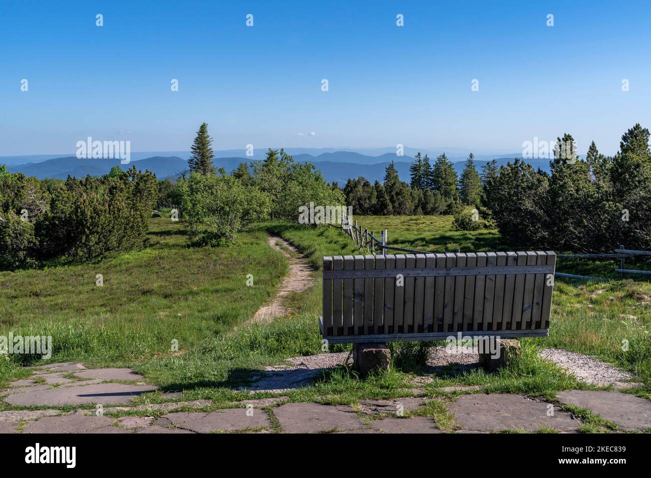 Europa, Deutschland, Süddeutschland, Baden-Württemberg, Schwarzwald, Holzbank auf dem Schliffkopf Stockfoto