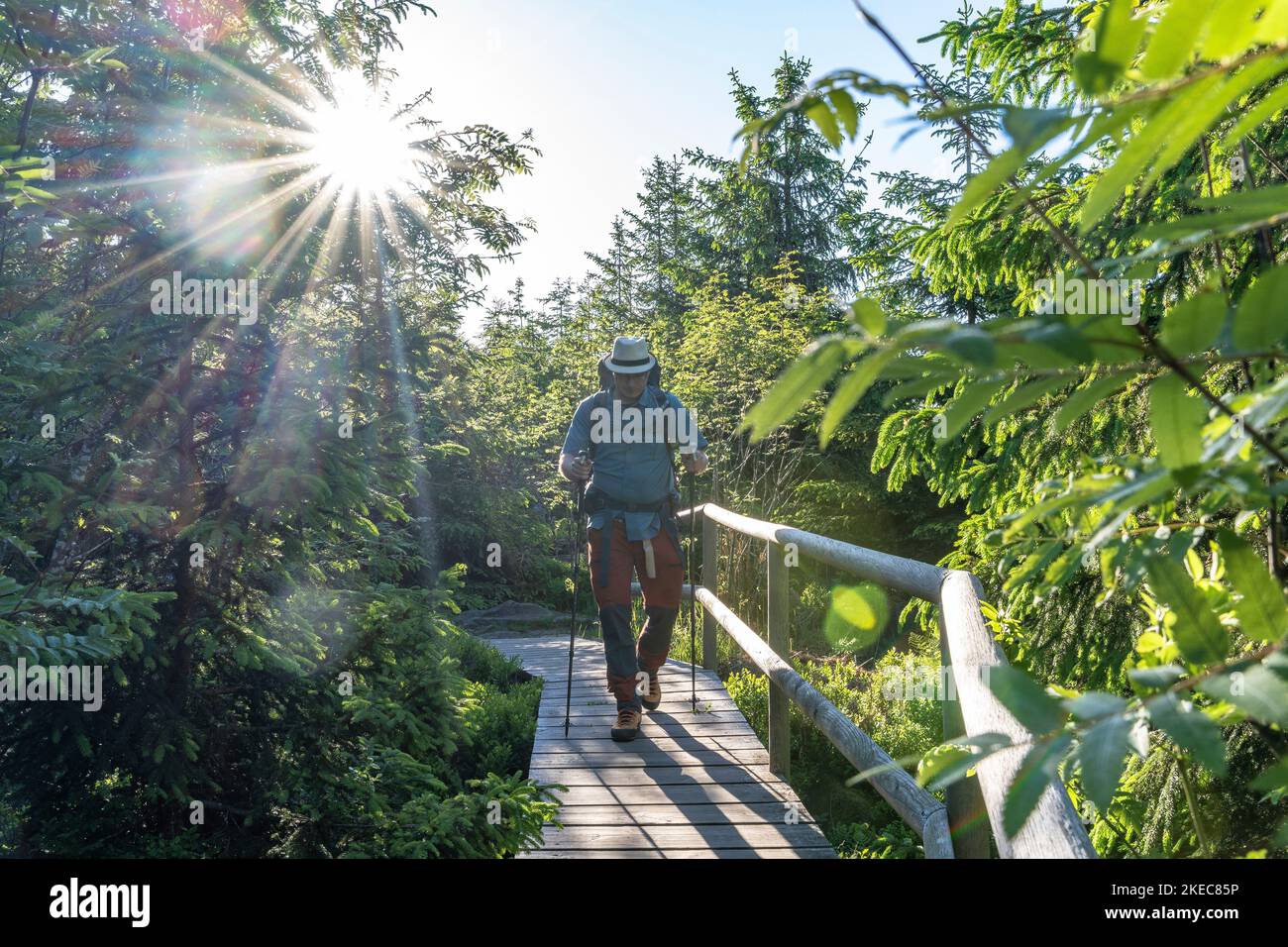 Europa, Deutschland, Süddeutschland, Baden-Württemberg, Schwarzwald, Wanderer auf dem Lothar Trail bei Baiersbronn Stockfoto