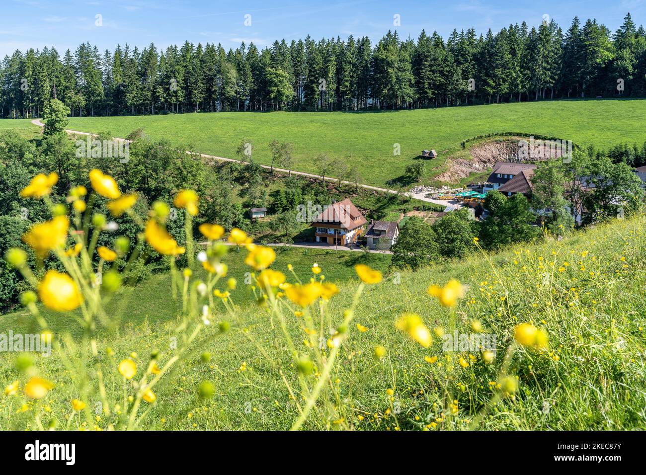 Europa, Deutschland, Süddeutschland, Baden-Württemberg, Schwarzwald, Blick auf die Vesperstube Harkhof bei Oberharmersbach im Schwarzwald Stockfoto