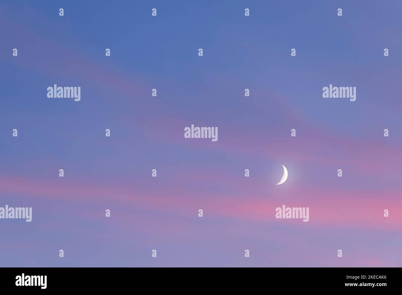 Abendhimmel mit Halbmond und rosa Schleierwolken Stockfoto