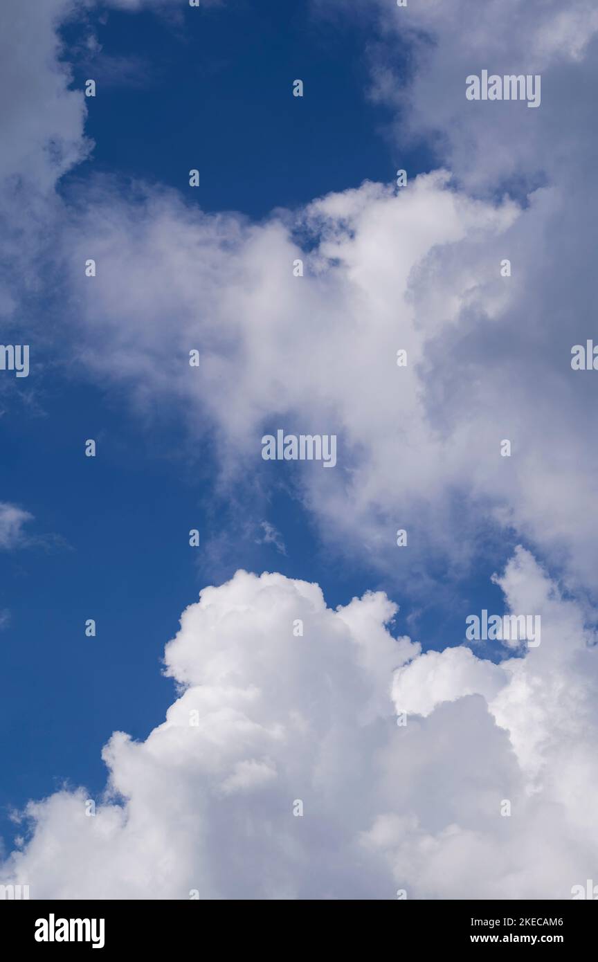 Frühlingswolken und blauer Himmel Stockfoto