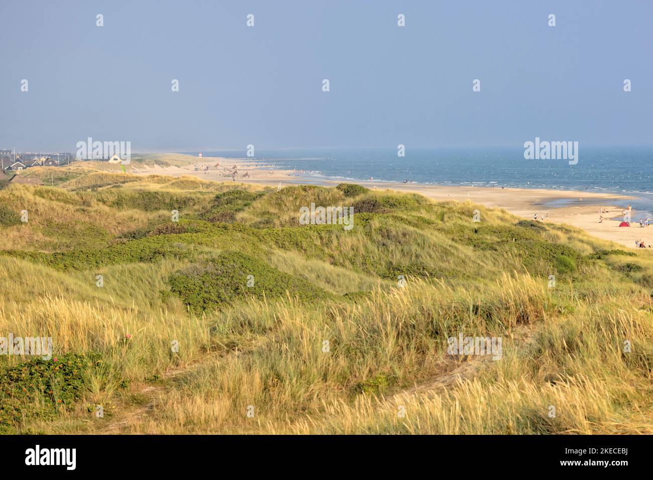 Blick über die Dünenlandschaft auf die Häuser von Blavand und den Nordseestrand Stockfoto