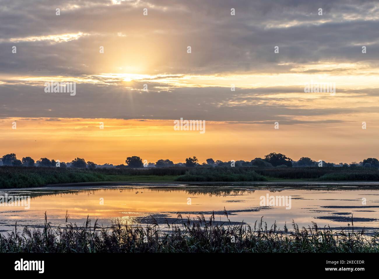 Die Sonne scheint zwischen den Wolken und erhellt den Radegaster Haken bei Bleckede Stockfoto