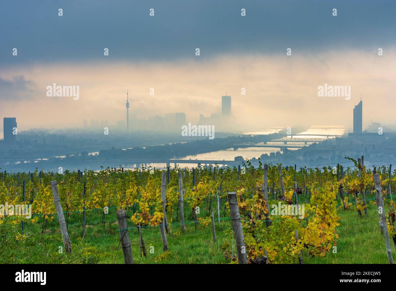 Wien, Morgennebel über Wien, Weinberge, Donau, Donauturm, DC Tower 1, Millennium Tower, Blick vom Hügel Nußberg in 00. Übersicht, Wien, Österreich Stockfoto