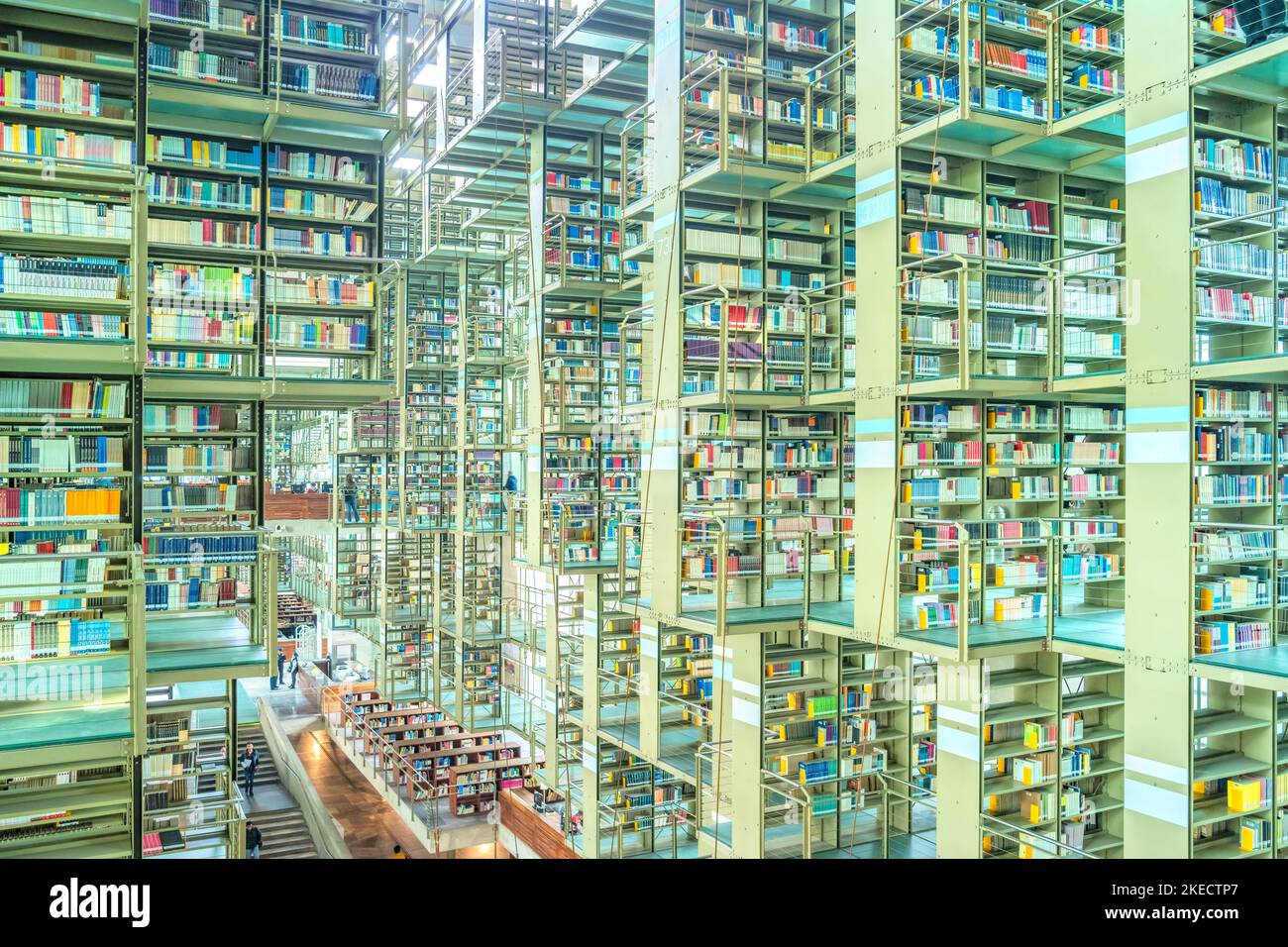 Biblioteca Vasconcelos (Vasconcelos-Bibliothek) in Mexiko-Stadt, Mexiko. Stockfoto