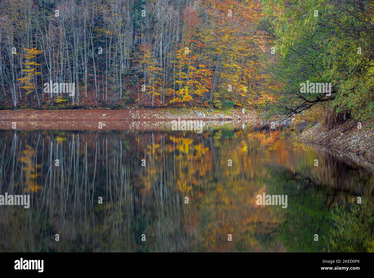 Gespiegelte Farben des Herbstwaldes. Das Foto wurde am 29.. Oktober 2022 auf dem Buhui-See im Kreis Caras-Severin, Rumänien, aufgenommen. Stockfoto