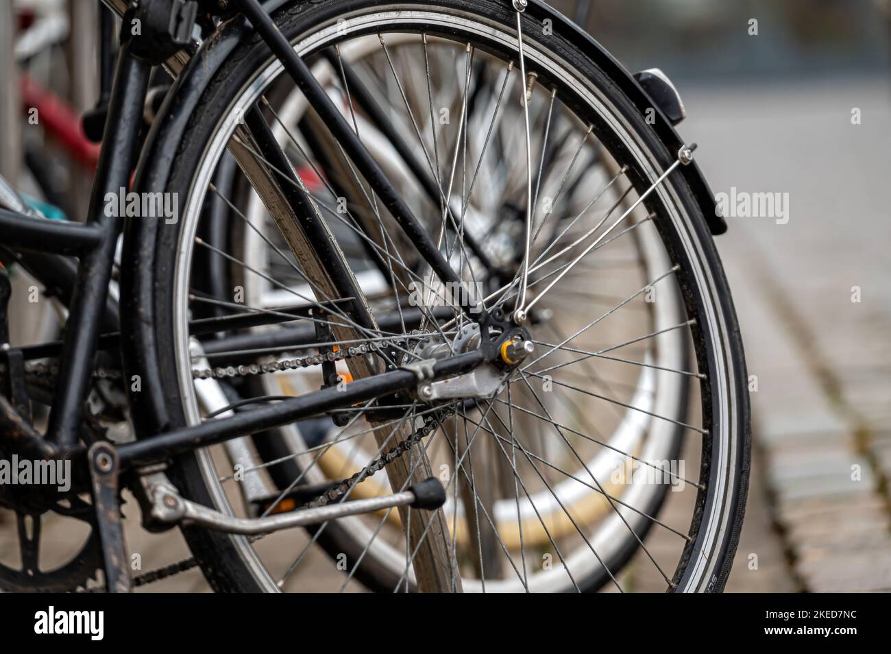 Nahaufnahme von Fahrradrädern in einer Reihe. Flacher Freiheitsgrad Stockfoto