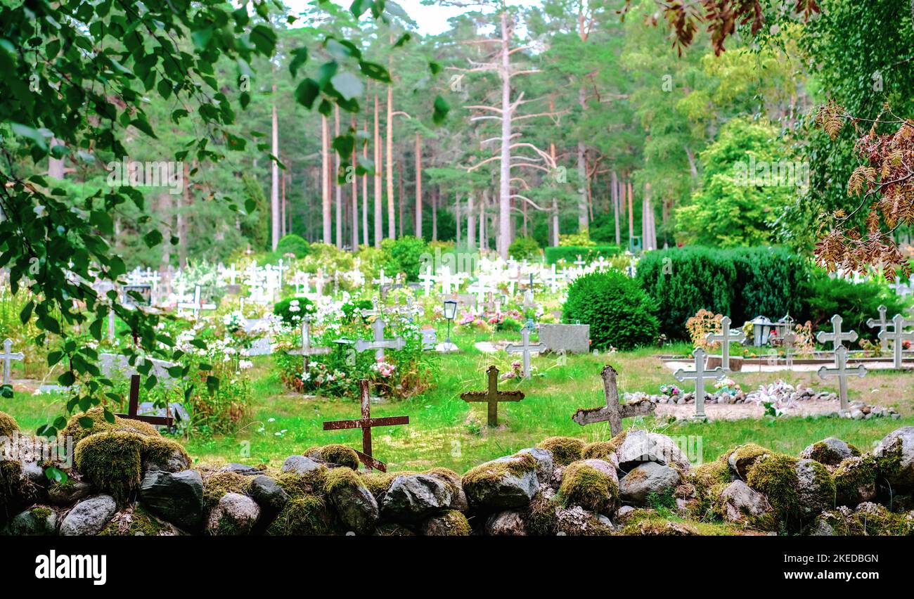 Alter Friedhof im Wald mit vielen Kreuzen. Estland Stockfoto