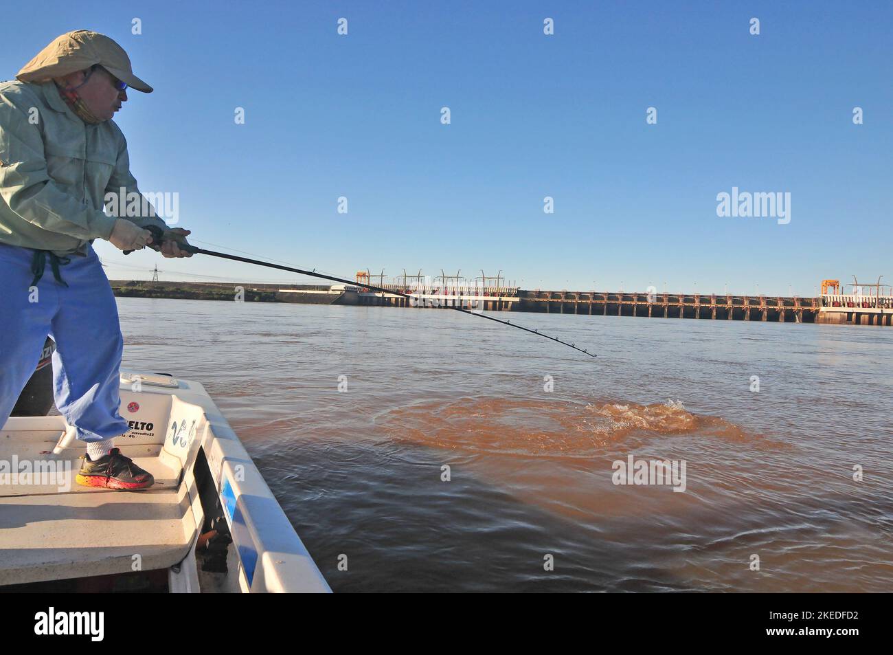 Kampf mit einem riesigen 40 bis 55 Pfund dorado auf das Boot ist ein Kampf, den die meisten Angler nicht vergessen werden. Diese Giganten wachsen auf dem Uruguay-Fluss zu solchen Gewichten heran. Stockfoto