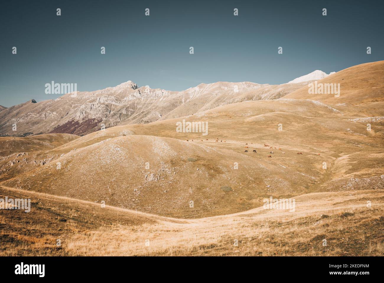 Wunderschöne Landschaft des Gran Sasso Nationalparks in Campo Imperatore, Abruzzen, Italien Stockfoto
