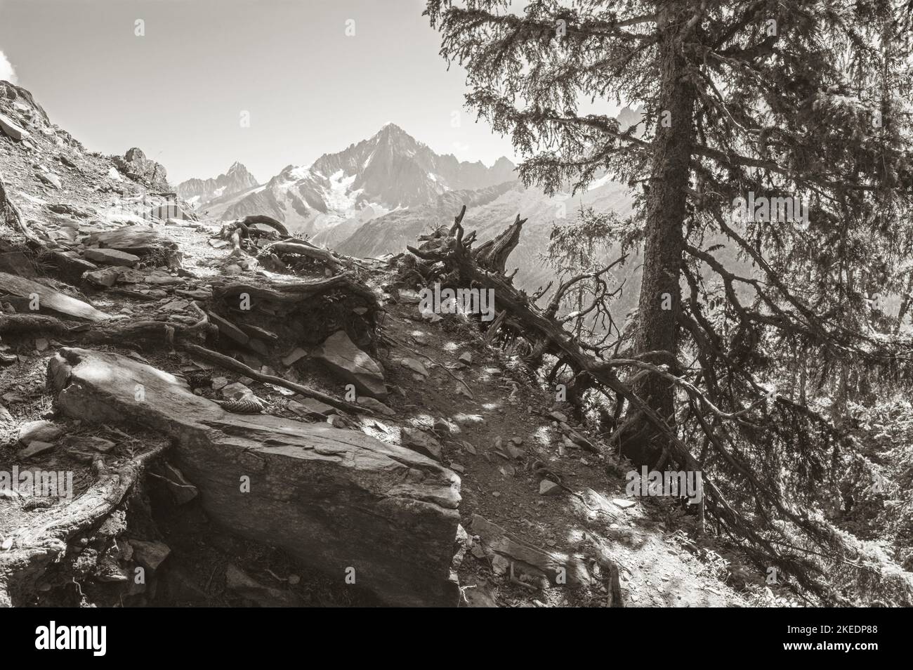 Die Gipfel von Aiguilles Verte und Petit Dru - Chamonix. Stockfoto