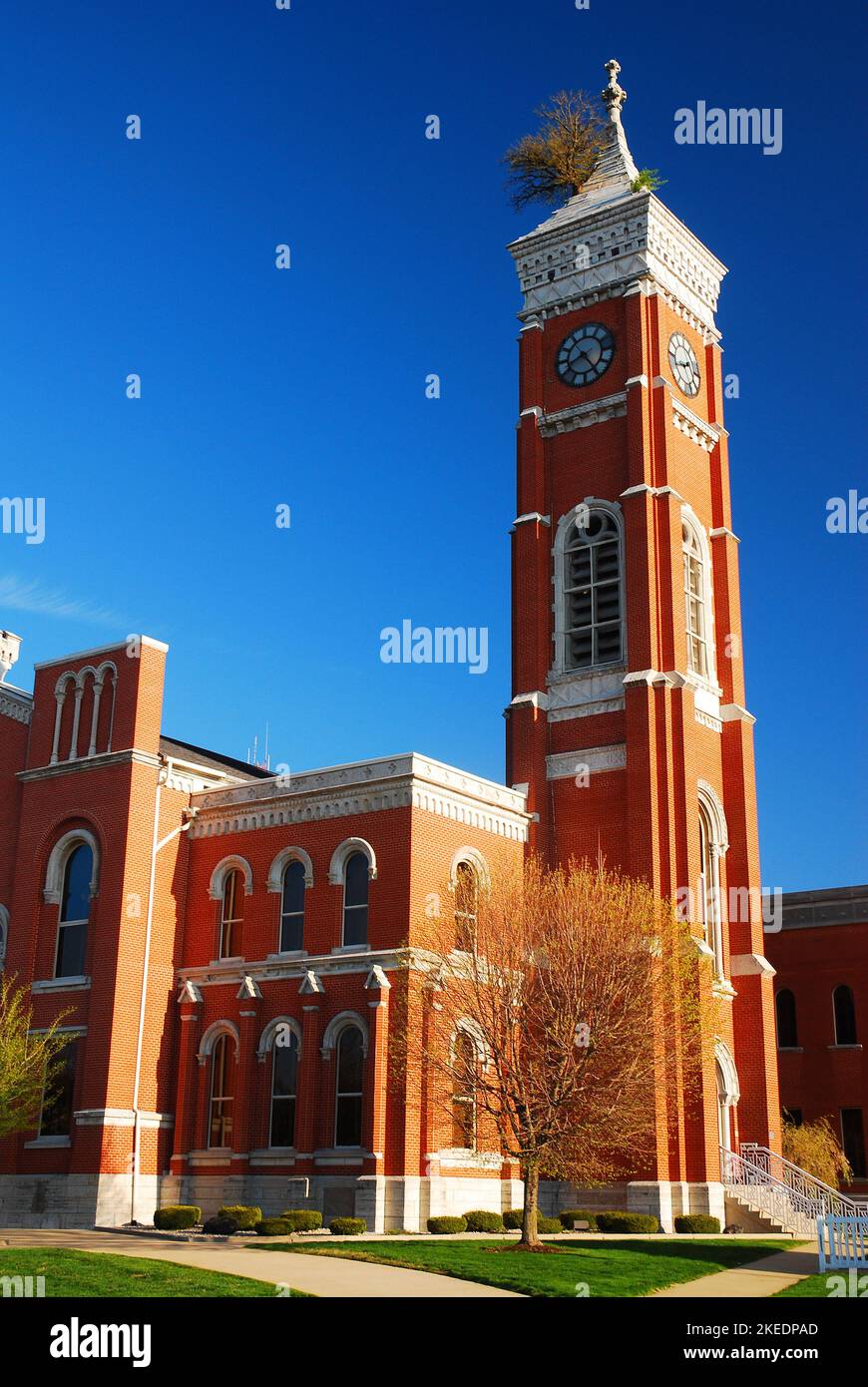 Seit über 100 Jahren wächst auf dem Dach des Decatur County Courthouse in Greensburg, Indiana, ein Baum Stockfoto