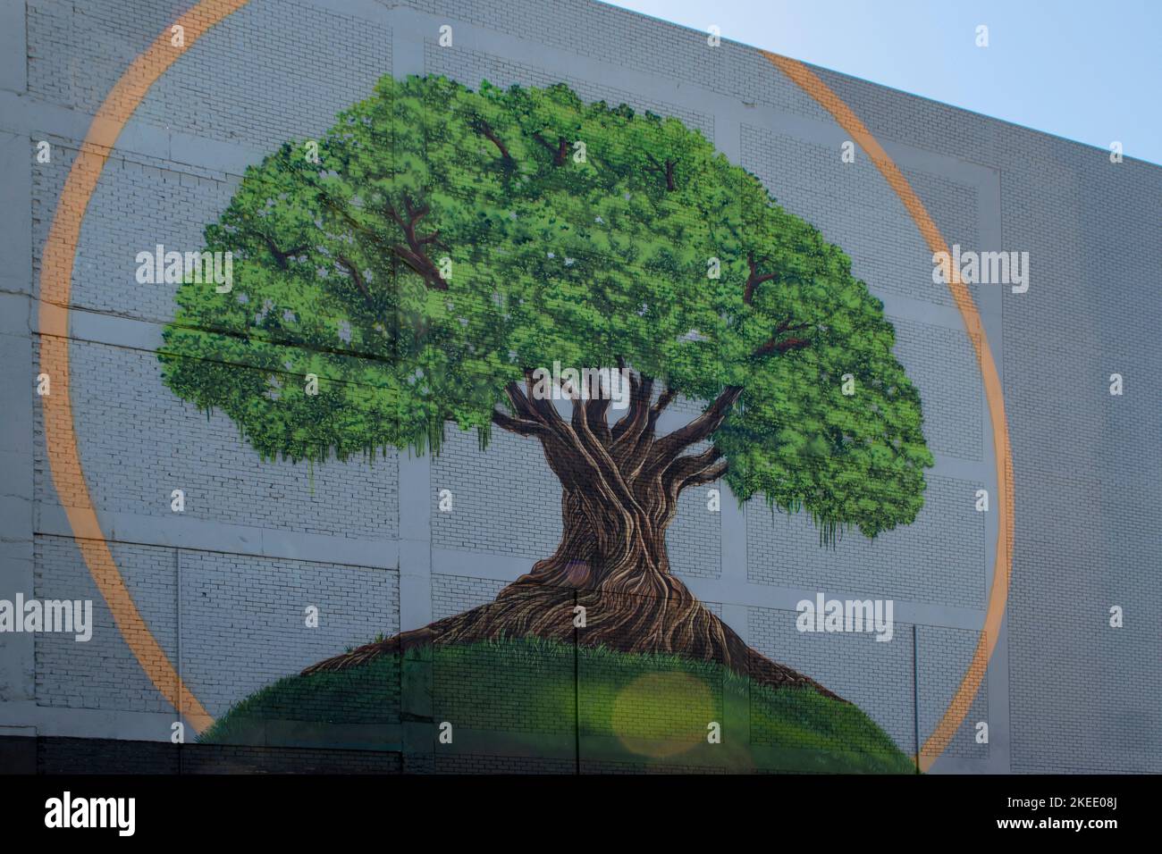 Green Tree Street Art, Melbourne, Victoria, Australien Stockfoto