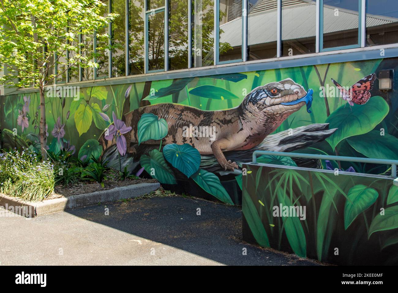Blue-Tongued Lizard Street Art, Collingwood, Melbourne, Victoria, Australien Stockfoto
