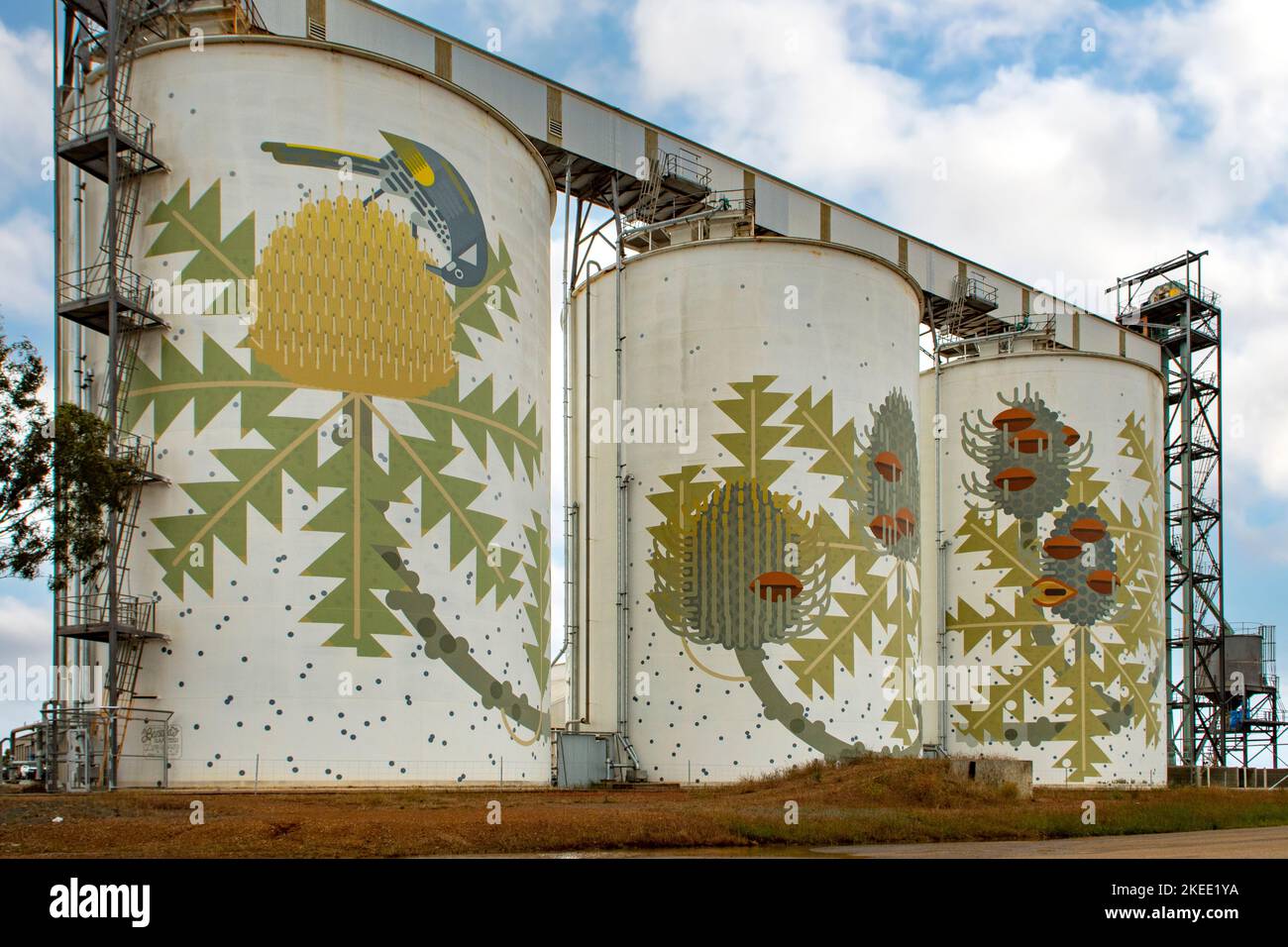 Banksia Silo Art, Ravensthorpe, WA, Australien Stockfoto