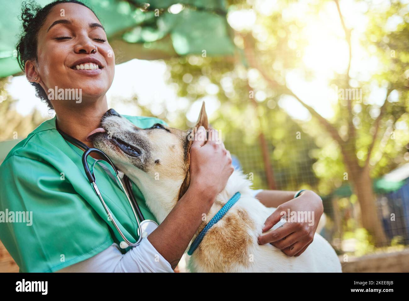 Tierarzt, glücklich und Krankenschwester mit einem Hund in der Natur, der medizinische Gesundheitsuntersuchung und Wohltätigkeitsarbeit für obdachlose Tiere macht. Lächeln, Arzt oder Tierarzt liebt Stockfoto