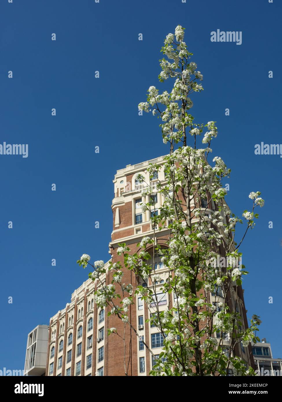 Ein vertikales Werk mit einem Backsteingebäude des Palacio de la Prensa im Hintergrund in Madrid, Spanien. Stockfoto