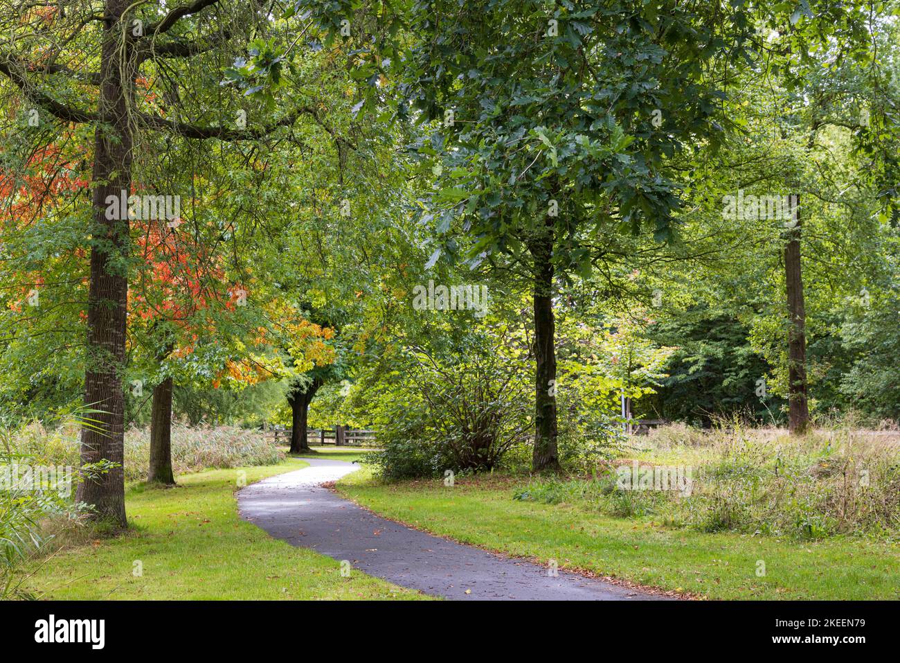 Johan Smitpark in Zuidhorn, Gemeinde Westerkwartier Groningen Provinz in den Niederlanden Stockfoto