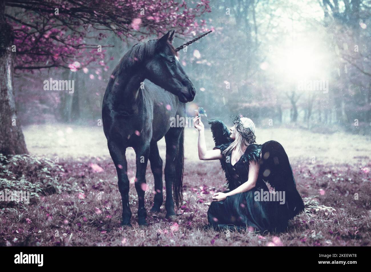 Einhorn Stockfoto