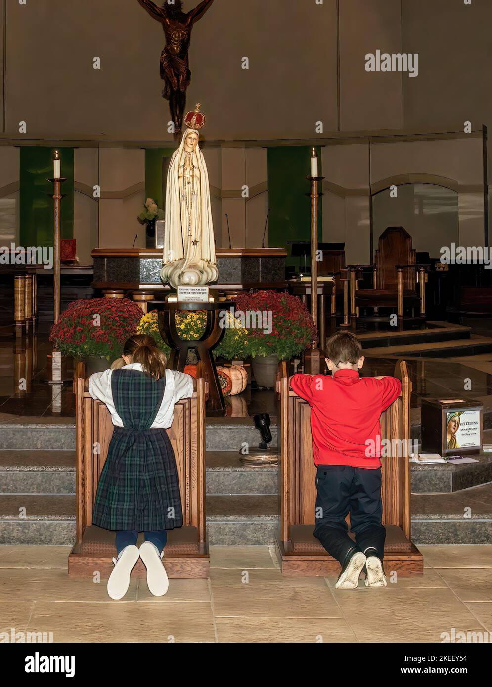 Two St. Schüler der katholischen Schule Ambrose knieten in Verehrung vor der Reisenden Statue unserer Lieben Frau von Fatima in St. Katholische Kirche Ambrose. Stockfoto