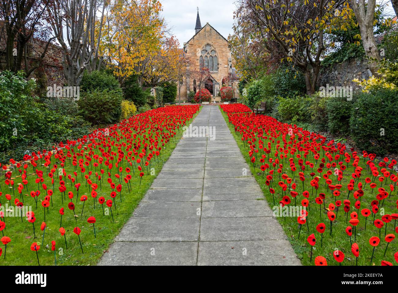 Musselburgh, East Lothian, Schottland, Großbritannien, 12.. November 2022. Mohn-Ausstellung in der St. Andrew's High Church: Hunderte von gehäkelten Mohn werden im Garten vor der Kirche zum Gedenktag ausgestellt. Kredit: Sally Anderson/Alamy Live Nachrichten Stockfoto