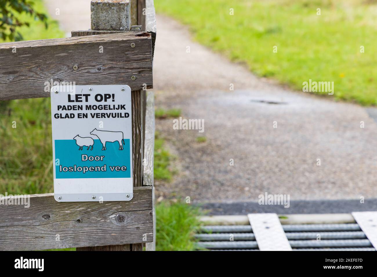 Zuidhorn, Niederlande - 25. September 2022: Warnschild für Rinder Johan Smitpark in Zuidhorn, Gemeinde Westerkwartier Groningen in den Niederlanden Stockfoto