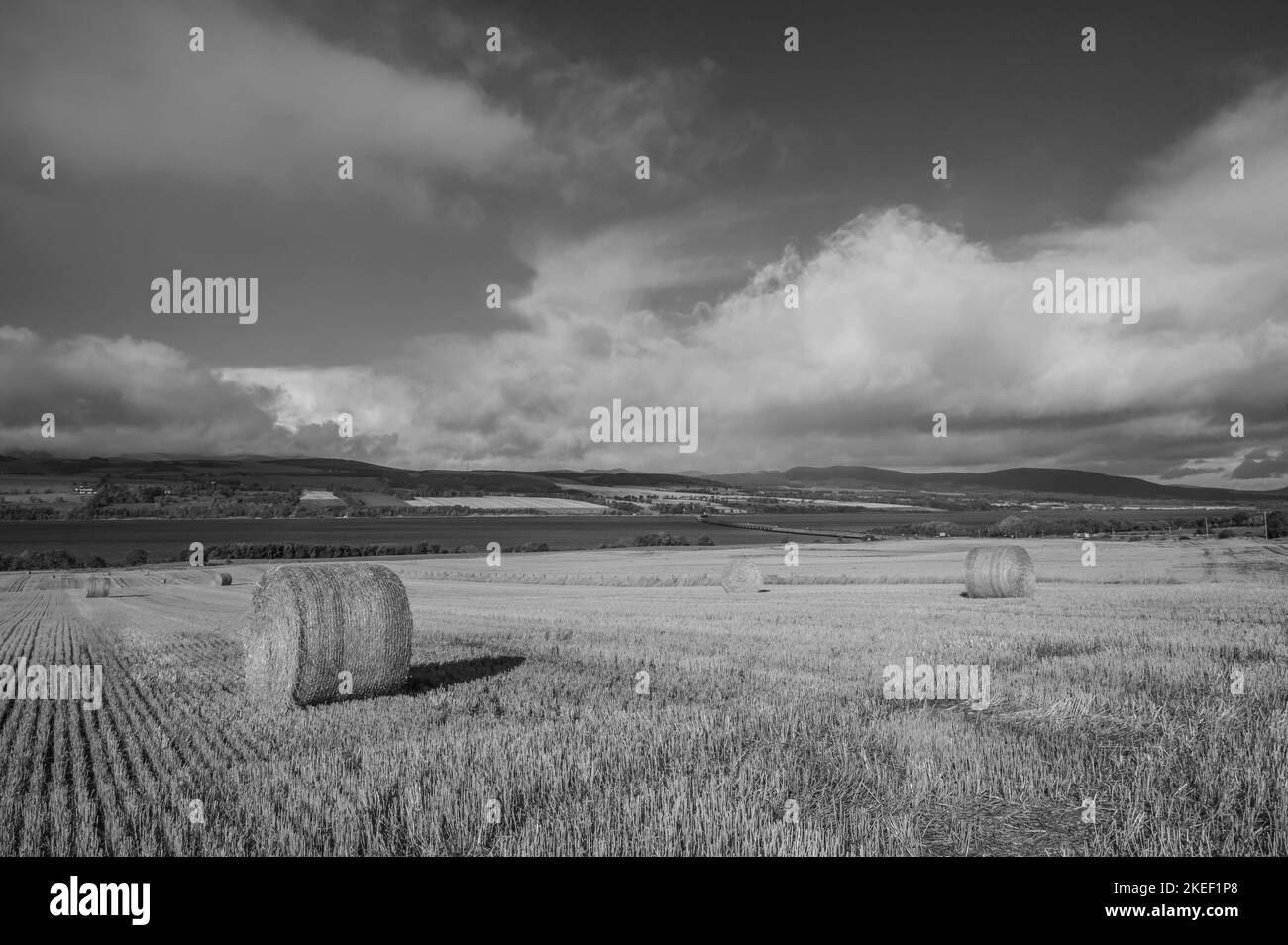 Das Bild zeigt frisch geschnittene Heufelder mit Blick auf den Cromarty Firth und die Brücke nördlich von Inverness Stockfoto