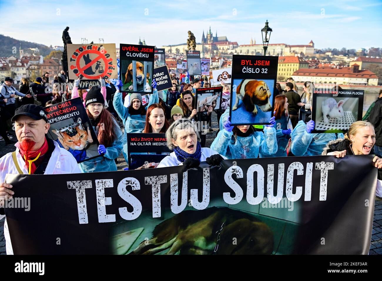 Prag, Tschechische Republik. 12.. November 2022. Der von der Right to Live-Gruppe inszenierte Protestmarsch gegen Tiere, die wissenschaftlichen Experimenten ausgesetzt waren, macht sich am Samstag, dem 12. November 2022, vom Klarov-Park, Prag 1, über den Altstädter Ring zum oberen Wenzelsplatz in Prag, Tschechien, auf den Weg. Kredit: Roman Vondrous/CTK Foto/Alamy Live Nachrichten Stockfoto