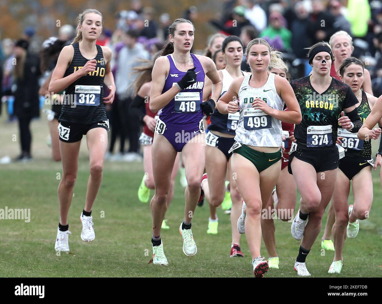 November 11 2022: Laura Pellicoro aus Portland belegte die zweite in der Frauenabteilung der NCAA West Regional Cross Country Championships 2022 auf dem Chambers Bay Golf Course, University Place, WA. Larry C. Lawson/CSM (Cal Sport Media über AP Images) Stockfoto