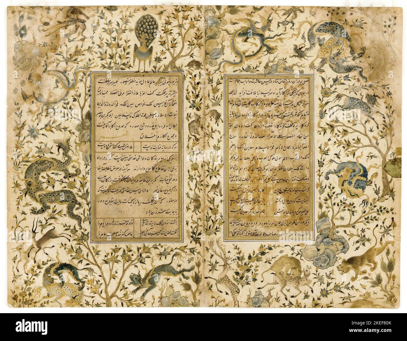 AQA Mirak, A Manuscript of the Gulistan; Sa’di in a Rose Garden, 1468 bis zur ersten Hälfte des 16.. Jahrhunderts, Freer Gallery of Art, Washington, D.C., USA. Stockfoto