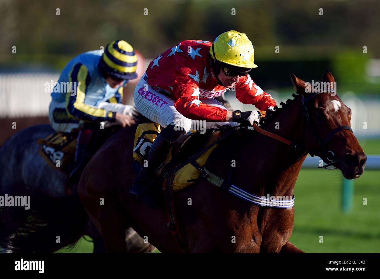 Drehbuchautor unter Jockey Paddy Brennan (weiß/rote Seide) auf dem Weg zum Sieg der JCB Triumph Trial Juvenile Hürde am zweiten Tag des November-Meetings auf der Pferderennbahn Cheltenham. Bilddatum: Samstag, 12. November 2022. Stockfoto