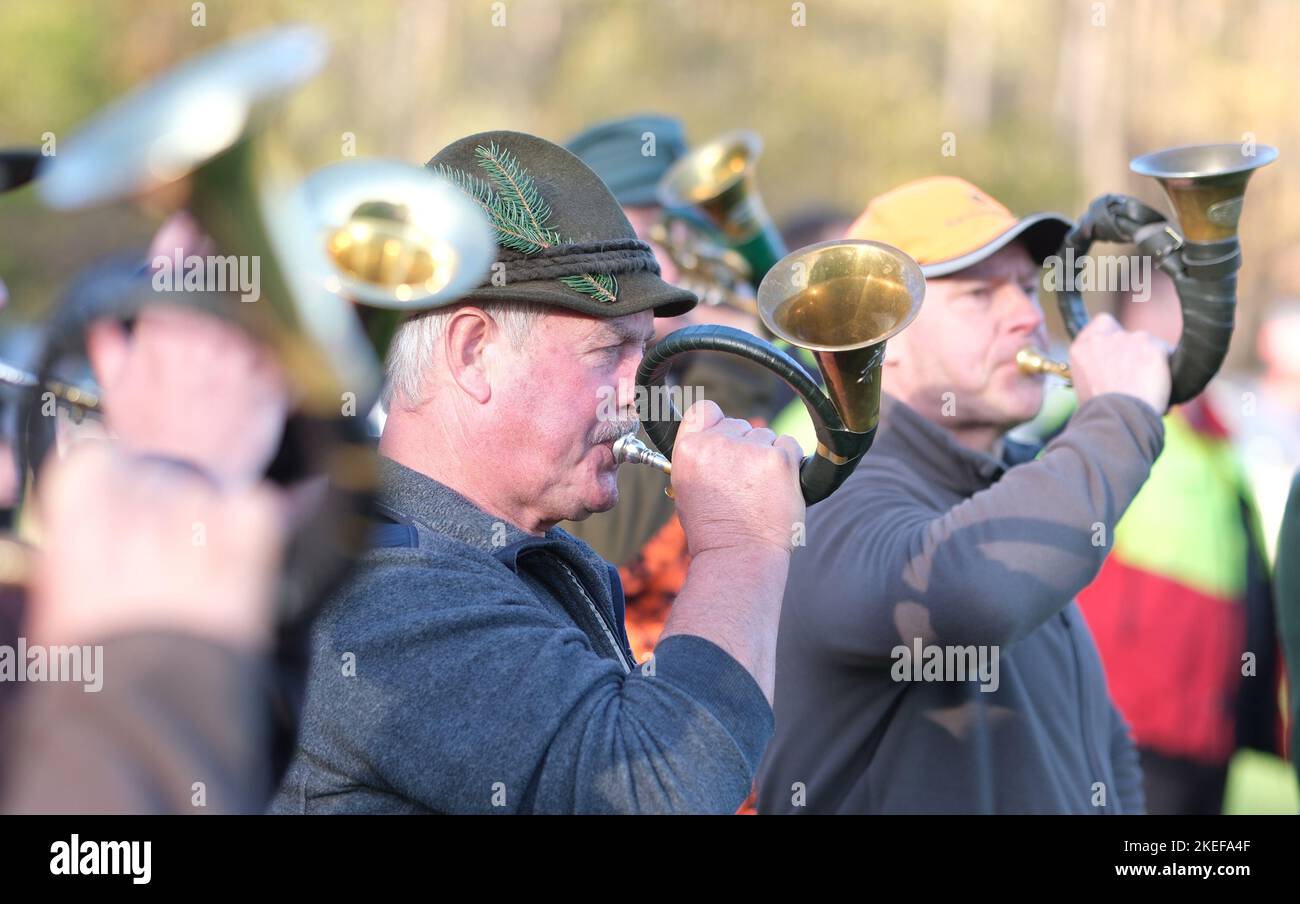 Torfhaus, Deutschland. 12.. November 2022. Jagdhornbläser spielen nach einer Fahrjagd auf der sogenannten Strecke. In Deutschland hat die Jagdsaison begonnen. Im nordsächsischen Waldgebiet Taura schossen 100 Schützen nur fünf Wildschweine und zehn Hirsche, was im Vergleich zu den Vorjahren ein spärlicher Ertrag ist. Ursachen können intensive Jagd während des Jahres, das Vorhandensein von Wölfen und klimatischen Bedingungen sein. Kredit: Sebastian Willnow/dpa/Alamy Live Nachrichten Stockfoto