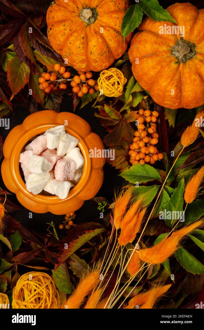 Thanksgiving vertikal Herbst festliche Tabelle Hintergrund mit Kürbis Draufsicht Äste von Sanddornbeeren Stockfoto