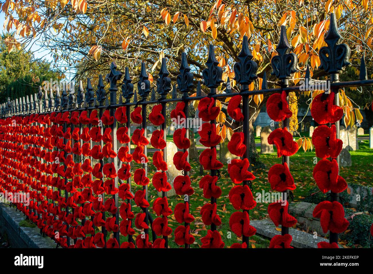 Marlow, Buckinghamshire, Großbritannien. 12.. November 2022. Die Marlow Poppy Display-Gruppe von lokalen Damen hat über 5.000 gestrickte und gehäkelte Mohnblumen gemacht, die jetzt am Geländer der All Saints Church und am Geländer des Higginson Park am Causeway in Marlow, Buckinghamshire, zu sehen sind. Seit 2020 hat die Gruppe fast achttausend Pfund für die Marlow British Legion Poppy Appeal gesammelt. Am morgigen Morgen wird in der Stadt ein Gedenkgottesdienst stattfinden, um den Gedenktag und all die Kriegstoten zu feiern, die für unsere Freiheit gekämpft haben. Quelle: Maureen McLean/Alamy Live News Stockfoto