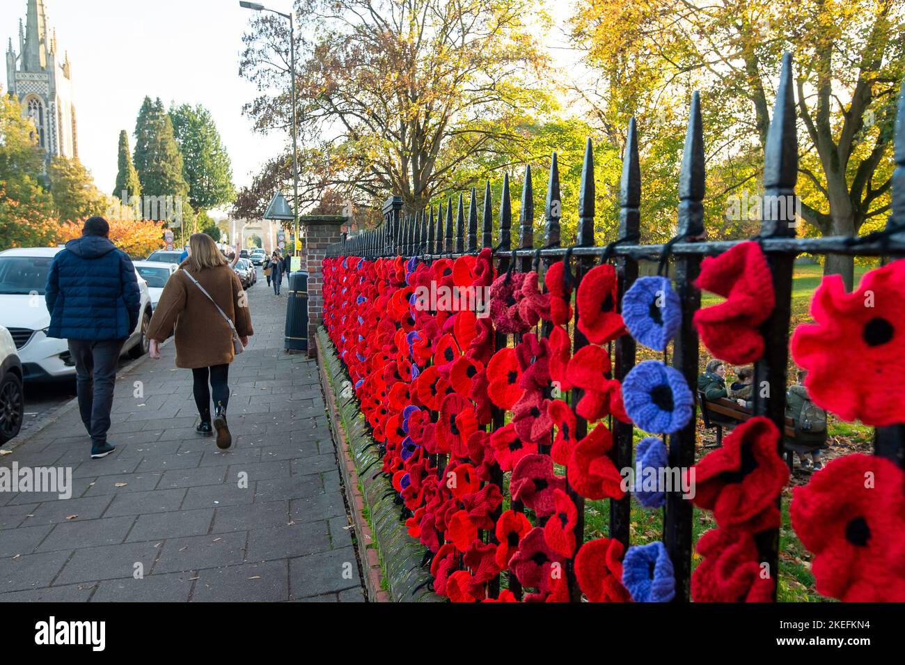 Marlow, Buckinghamshire, Großbritannien. 12.. November 2022. Die Marlow Poppy Display-Gruppe von lokalen Damen hat über 5.000 gestrickte und gehäkelte Mohnblumen gemacht, die jetzt am Geländer der All Saints Church und am Geländer des Higginson Park am Causeway in Marlow, Buckinghamshire, zu sehen sind. Seit 2020 hat die Gruppe fast achttausend Pfund für die Marlow British Legion Poppy Appeal gesammelt. Am morgigen Morgen wird in der Stadt ein Gedenkgottesdienst stattfinden, um den Gedenktag und all die Kriegstoten zu feiern, die für unsere Freiheit gekämpft haben. Quelle: Maureen McLean/Alamy Live News Stockfoto