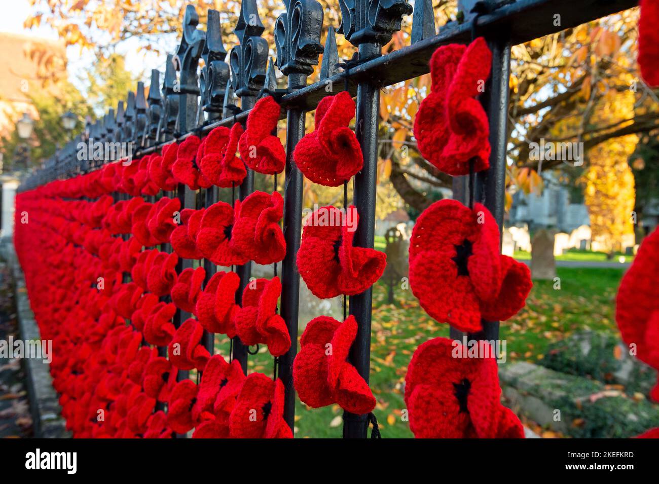 Marlow, Buckinghamshire, Großbritannien. 12.. November 2022. Die Marlow Poppy Display-Gruppe von lokalen Damen hat über 5.000 gestrickte und gehäkelte Mohnblumen gemacht, die jetzt am Geländer der All Saints Church und am Geländer des Higginson Park am Causeway in Marlow, Buckinghamshire, zu sehen sind. Seit 2020 hat die Gruppe fast achttausend Pfund für die Marlow British Legion Poppy Appeal gesammelt. Am morgigen Morgen wird in der Stadt ein Gedenkgottesdienst stattfinden, um den Gedenktag und all die Kriegstoten zu feiern, die für unsere Freiheit gekämpft haben. Quelle: Maureen McLean/Alamy Live News Stockfoto