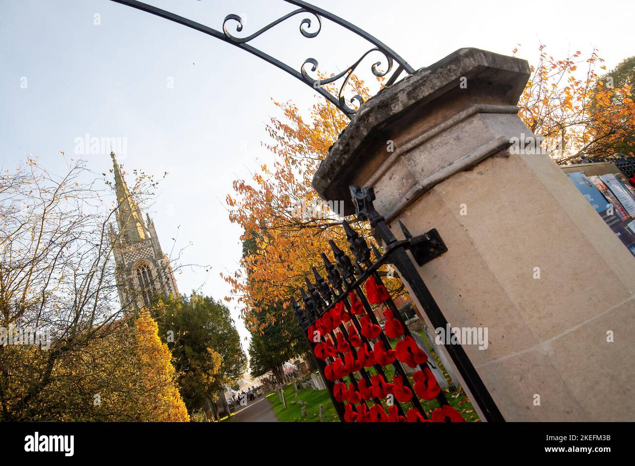 Marlow, Buckinghamshire, Großbritannien. 12.. November 2022. Die Marlow Poppy Display-Gruppe von lokalen Damen hat über 5.000 gestrickte und gehäkelte Mohnblumen gemacht, die jetzt am Geländer der All Saints Church und am Geländer des Higginson Park am Causeway in Marlow, Buckinghamshire, zu sehen sind. Seit 2020 hat die Gruppe fast achttausend Pfund für die Marlow British Legion Poppy Appeal gesammelt. Am morgigen Morgen wird in der Stadt ein Gedenkgottesdienst stattfinden, um den Gedenktag und all die Kriegstoten zu feiern, die für unsere Freiheit gekämpft haben. Quelle: Maureen McLean/Alamy Live News Stockfoto