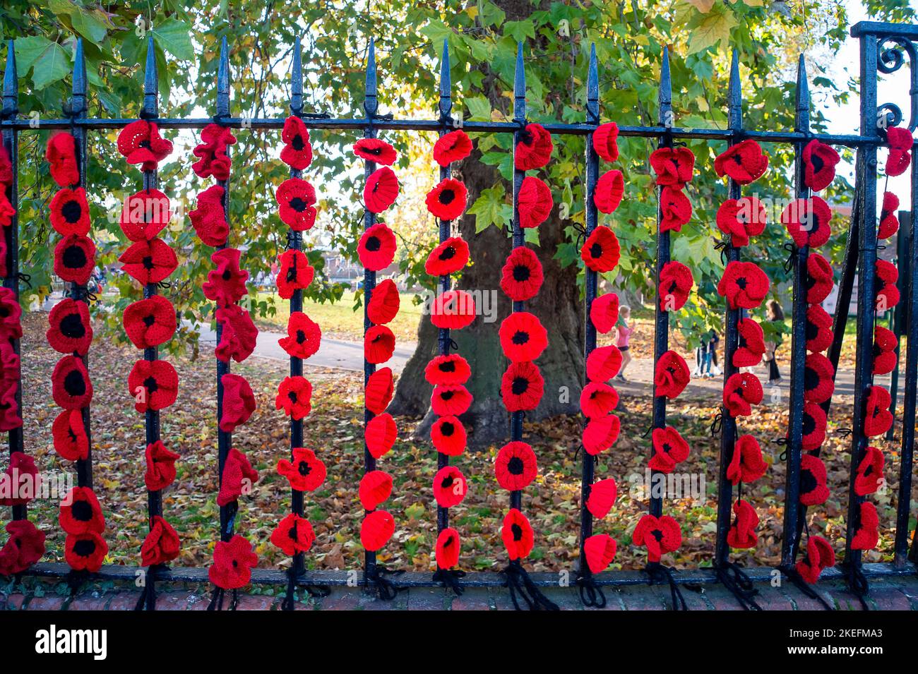 Marlow, Buckinghamshire, Großbritannien. 12.. November 2022. Die Marlow Poppy Display-Gruppe von lokalen Damen hat über 5.000 gestrickte und gehäkelte Mohnblumen gemacht, die jetzt am Geländer der All Saints Church und am Geländer des Higginson Park am Causeway in Marlow, Buckinghamshire, zu sehen sind. Seit 2020 hat die Gruppe fast achttausend Pfund für die Marlow British Legion Poppy Appeal gesammelt. Am morgigen Morgen wird in der Stadt ein Gedenkgottesdienst stattfinden, um den Gedenktag und all die Kriegstoten zu feiern, die für unsere Freiheit gekämpft haben. Quelle: Maureen McLean/Alamy Live News Stockfoto