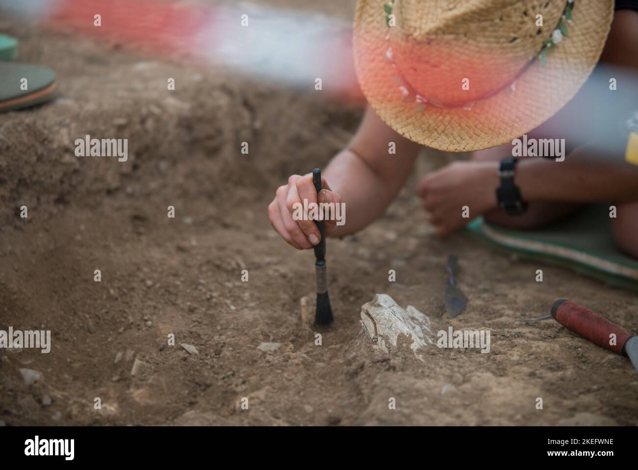 Universitätsstudenten, die im Rahmen ihres Studiums einen archäologischen Feldkurs absolvieren, Abschluss, Ipplepen, Devon, Großbritannien Stockfoto